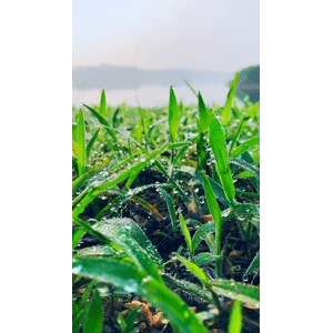 旅行风景6609
