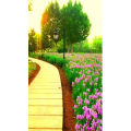 旅行风景6614