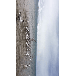 旅行风景6626
