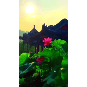 旅行风景6627