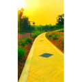 旅行风景6629