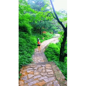 旅行风景6630