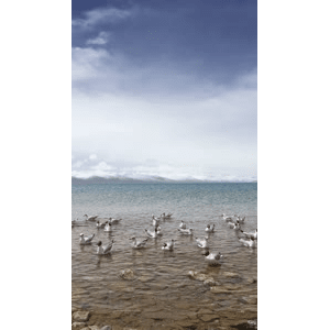 旅行风景6638