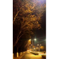 旅行风景6639