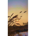 旅行风景6640