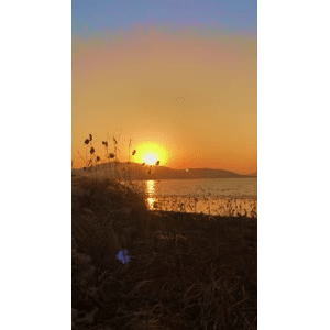 旅行风景6642