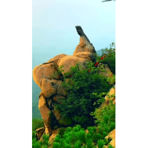 旅行风景6646