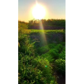 旅行风景6647
