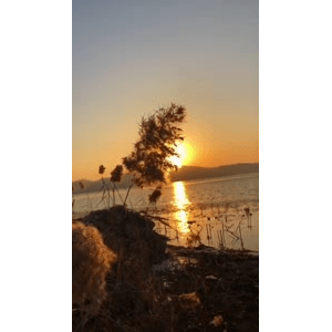 旅行风景6648