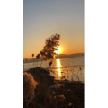 旅行风景6648