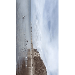 旅行风景6649