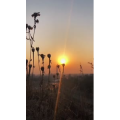 旅行风景6654