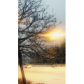 旅行风景6662