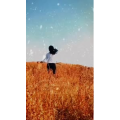 旅行风景6664