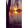 旅行风景6666