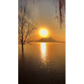 旅行风景6669