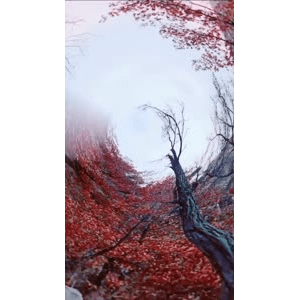 旅行风景6674