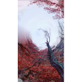 旅行风景6674
