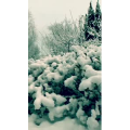 旅行风景6677