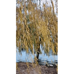 旅行风景6687