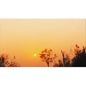 旅行风景6690