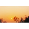 旅行风景6690