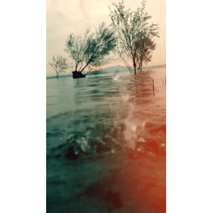 旅行风景6696