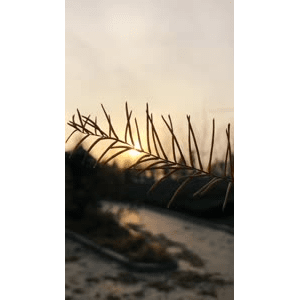 旅行风景6697