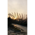 旅行风景6697