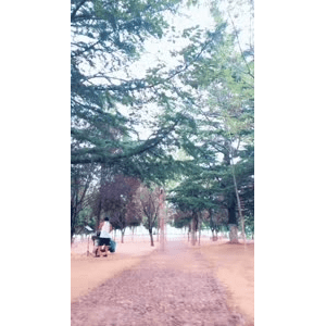旅行风景6711
