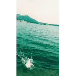 旅行风景6712