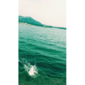 旅行风景6712