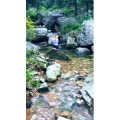 旅行风景6717