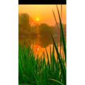 旅行风景6727