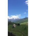 旅行风景6760