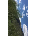 旅行风景6763