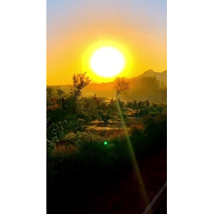 旅行风景6765