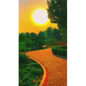 旅行风景6768
