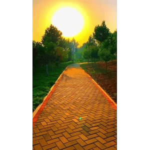 旅行风景6770