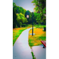 旅行风景6771