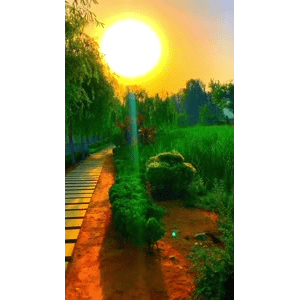 旅行风景6772