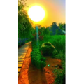 旅行风景6772