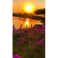旅行风景6775