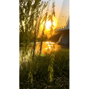旅行风景6776