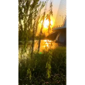旅行风景6776