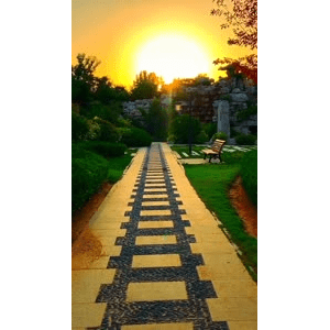 旅行风景6779