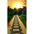旅行风景6779