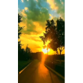 旅行风景6782