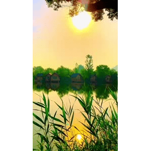 旅行风景6784