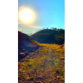 旅行风景6785
